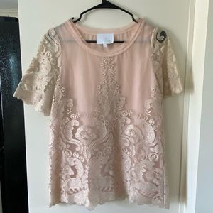 Beautiful Lace Blush Top